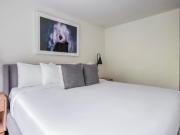 Departamento en renta en Río Nazas, muebles, servicios y...