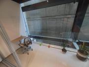 Departamento en renta en Roma Norte, Cuauhtémoc, Ciudad...