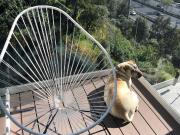 Departamento en renta en Santa Fe, Álvaro Obregón,... Departamento en renta en Santa Fe, Álvaro Obregón,...