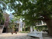 Departamento en renta en Temozon Norte, Mérida, Yucatán