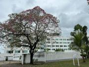 Departamento en renta en Torres Dal?, Tabasco 2000,...