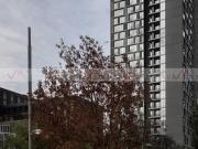 Departamento en renta en Valle Del Campestre, San Pedro...