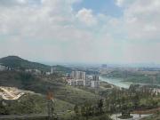 Departamento en Renta en Zona Esmeralda