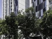 Departamento en renta en Zona Valle Poniente, San Pedro...