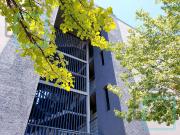 DEPARTAMENTO EN RENTA FUENTES DEL VALLE ZONA SAN PEDRO...