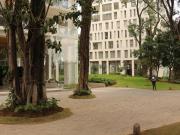 Departamento en Renta o Venta en Central Park