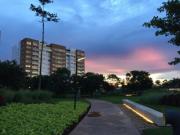 DEPARTAMENTO EN RENTA PISO 6 – TORRE OCEANA, VÍA MONTEJO