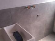 Departamento en Renta Planta Baja cerca VW Bv Hemos Serdan