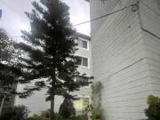 Departamento en Renta residencial Aguacaliente