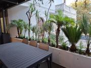 DEPARTAMENTO EN RENTA ROMA NORTE