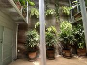 DEPARTAMENTO EN RENTA, ROMA NORTE, PLANTA BAJA, PATIO