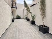 Departamento en renta, San Rafael Terraza privada / PB