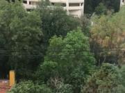 departamento en renta tecamachalco