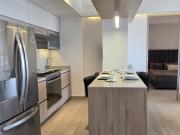 Departamento en Renta Torre Anisa