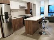 Departamento en Renta Torre Luz