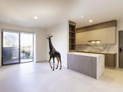 departamento en renta | torres anida | 2r 2b 2e | a 5...