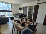 departamento en renta zona centro