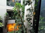 Departamento en Roma DV VSFBX
