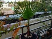 Departamento en San Miguel