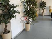 Departamento en San Miguel