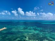 Departamento en SLS RESIDENCES FRENTE AL MAR EN VENTA