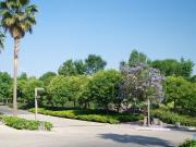 Departamento en Venta Cobalto Lomas del Pedregal