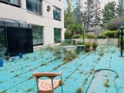 Departamento en Venta con terraza de 200 m en Frondoso 1...