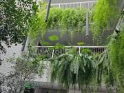 Departamento en Venta, Cumbaya, Nuevo, A 1 minuto del...