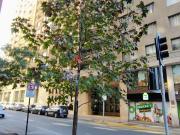 Departamento en venta de 2 dormitorios c/...