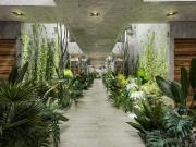 Departamento en venta en Aldea Zamá, Tulum, Quintana Roo