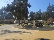Departamento en Venta en Algarrobo