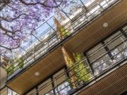 Departamento en venta en Colonia Condesa, Cuauhtémoc,...