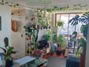 Departamento en venta en CONCEPCIÓN