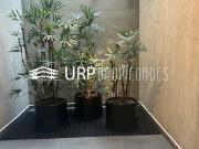 Departamento en venta en Cuauhtémoc, Ciudad de México
