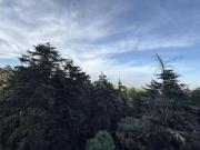 DEPARTAMENTO EN VENTA EN DESIERTO DE LOS LEONES, OLIVAR...