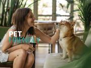 Departamento en venta en Escandón I Sección, Miguel...