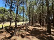 Departamento EN ALQUILER en Inmomap Departamento EN ALQUILER en Inmomap