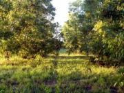 Departamento EN ALQUILER en Inmomap