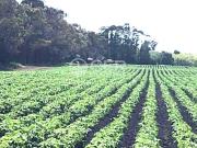 Departamento EN VENTA en Inmomap