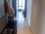 Departamento en venta en Interlomas