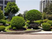 Departamento en venta en Lomas de Tecamachalco Sección...