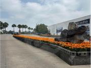 Departamento en venta en Lomas del Pedregal Framboyanes