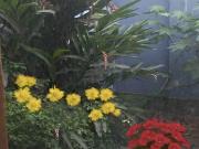 Departamento en venta en Miraflores a $275,000