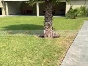 Departamento en venta en Monterrey