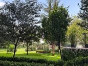 Departamento en venta en Paseo de las Lomas, Álvaro...