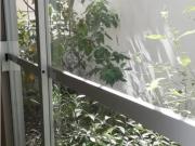 Departamento en venta en Paseo de los Sauces,...