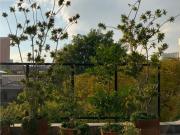 Departamento en venta en Polanco IV Sección, Miguel...