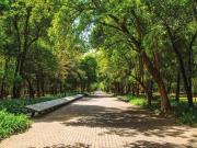 Departamento en Venta en Polanco V Sección, Miguel Hidalgo