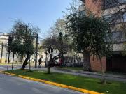 Departamento en venta en PROVIDENCIA