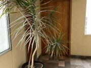 Departamento en Venta en San Ángel